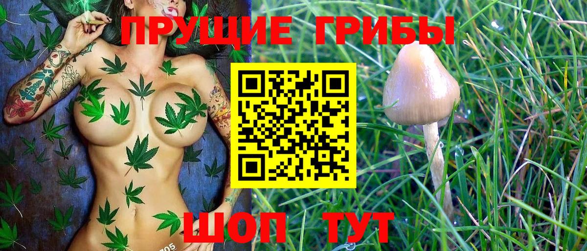 Галлюциногенные грибы GOLDEN TEACHER  Вход с VPN  Галлюциногенные грибы Magic Shrooms  Павлово 