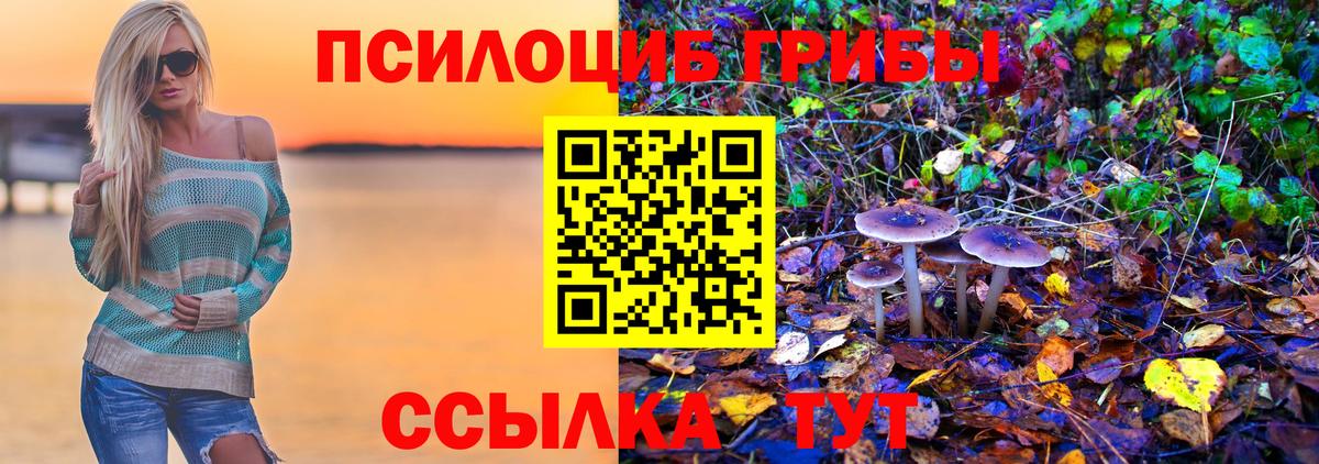 Псилоцибиновые грибы MAGIC MUSHROOMS Павлово