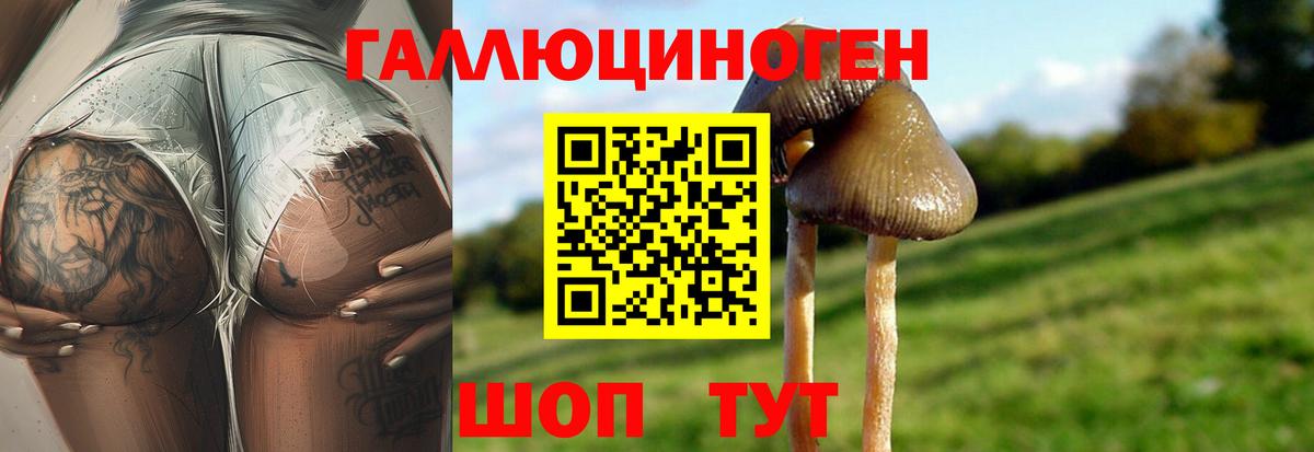 МЕФ Павлово